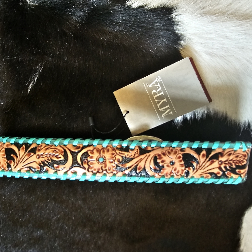 Dog Collar